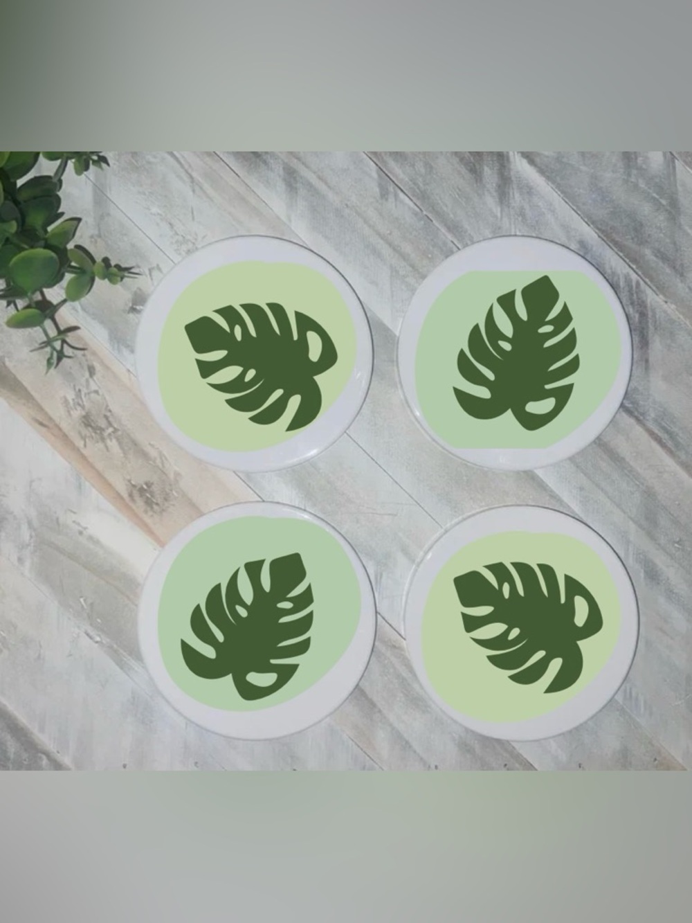 Set of 4 Green Monstera Coasters